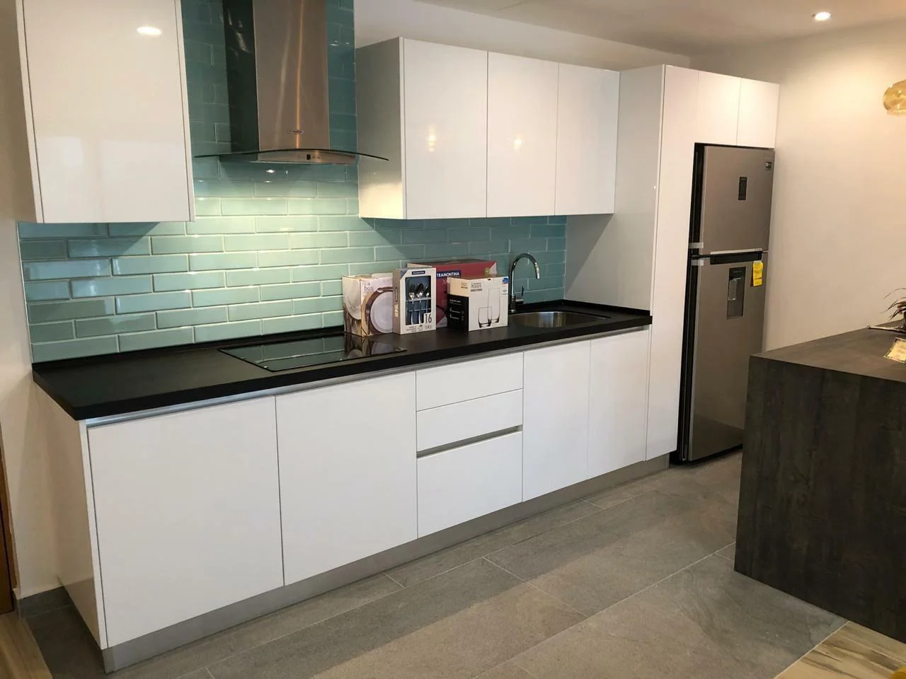 1 Bedroom Apartment in Quinta Avenida