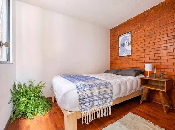 2 Bedroom Apartment in Roma Norte