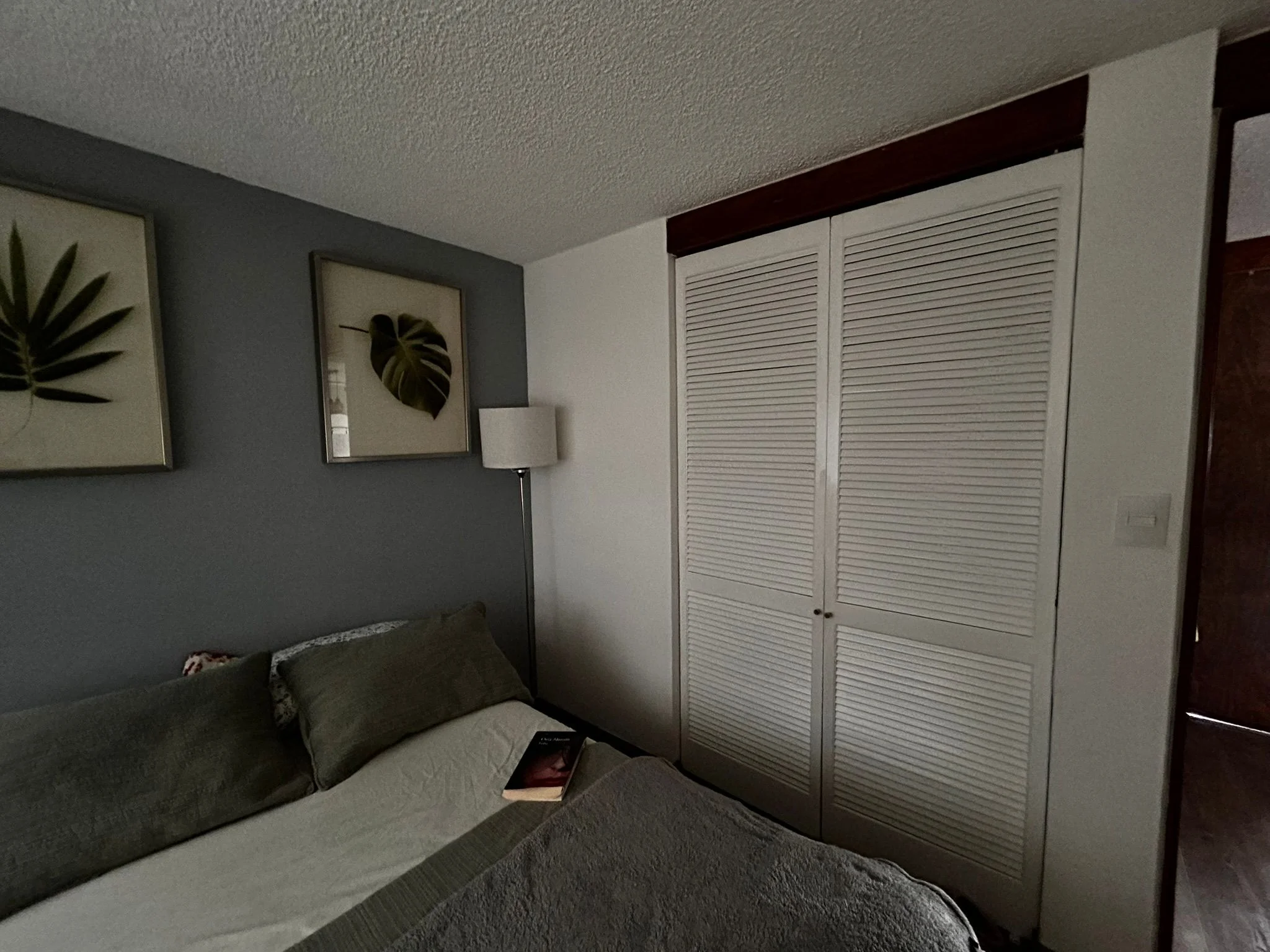 Private Room in Condesa, Mexico City