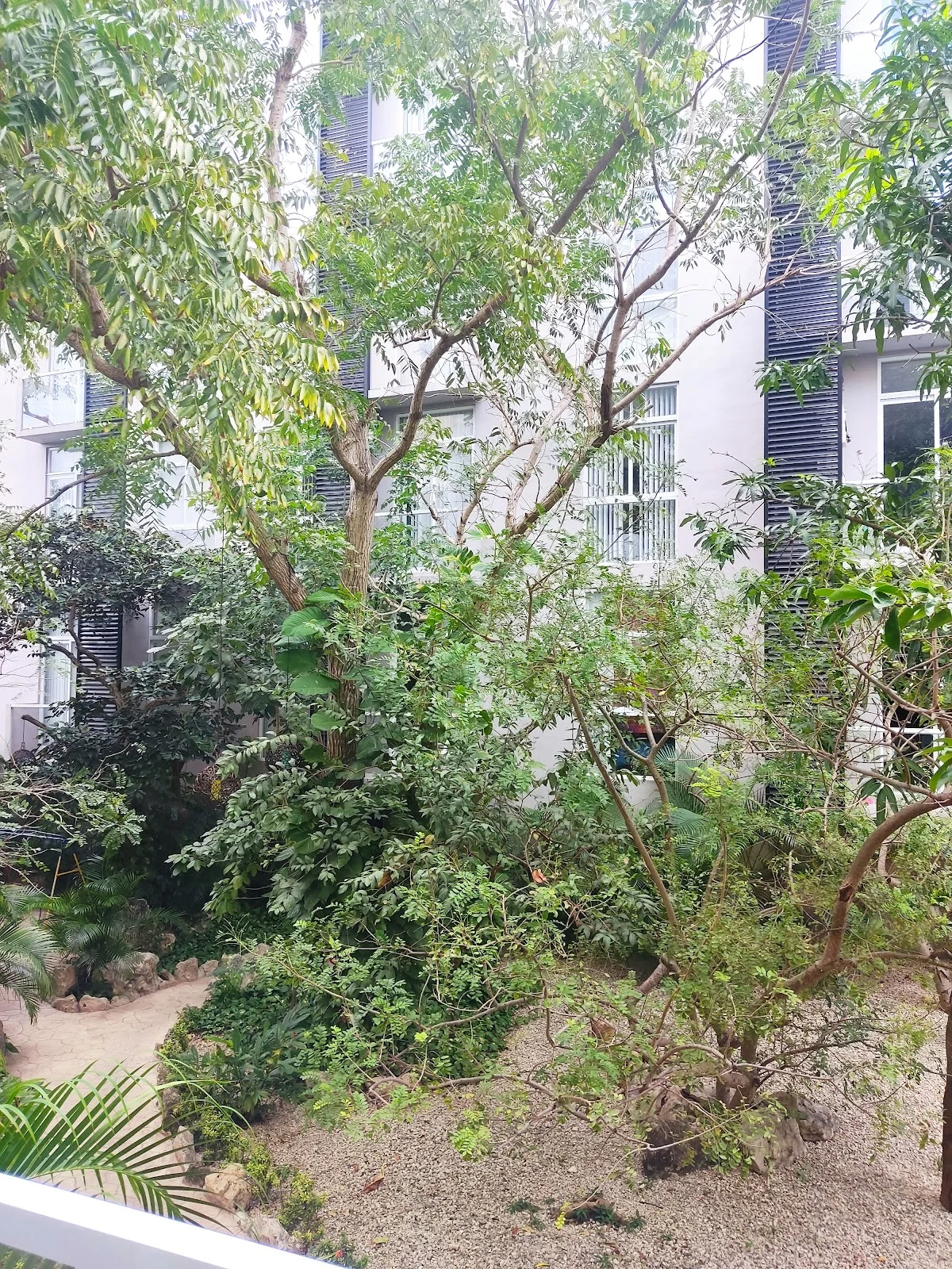 Apartment in Centro, Bali-La Joya