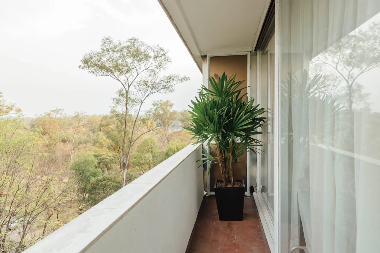 Private Room in Mexico City