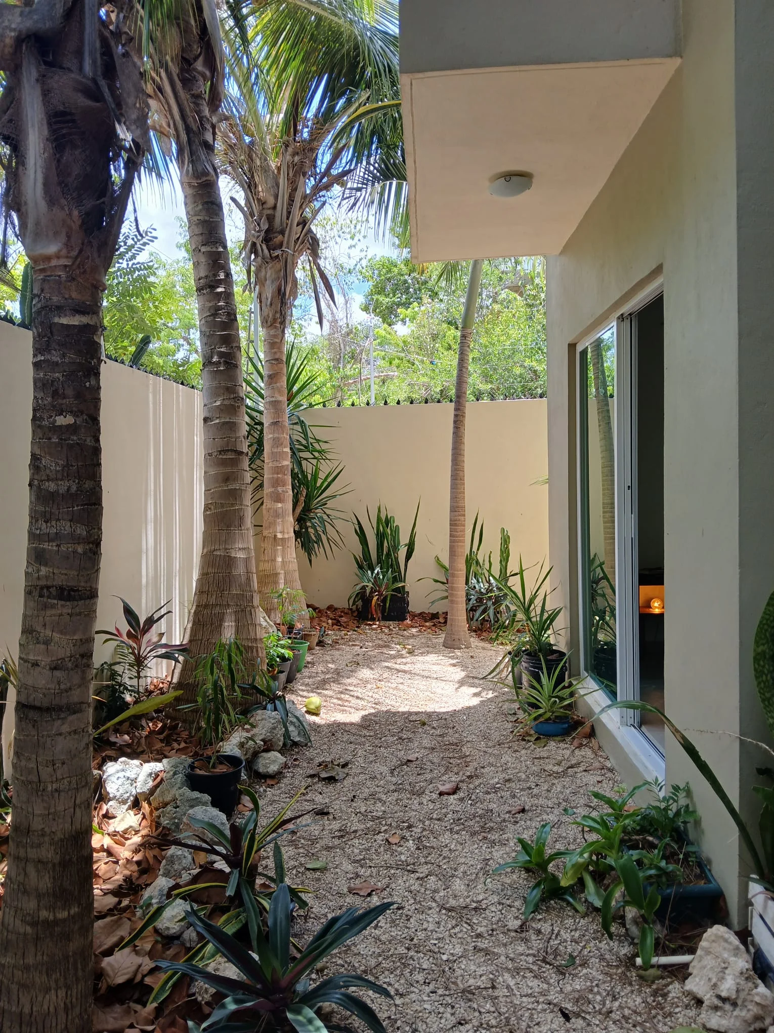 Apartment for Rent in La Veleta, Tulum
