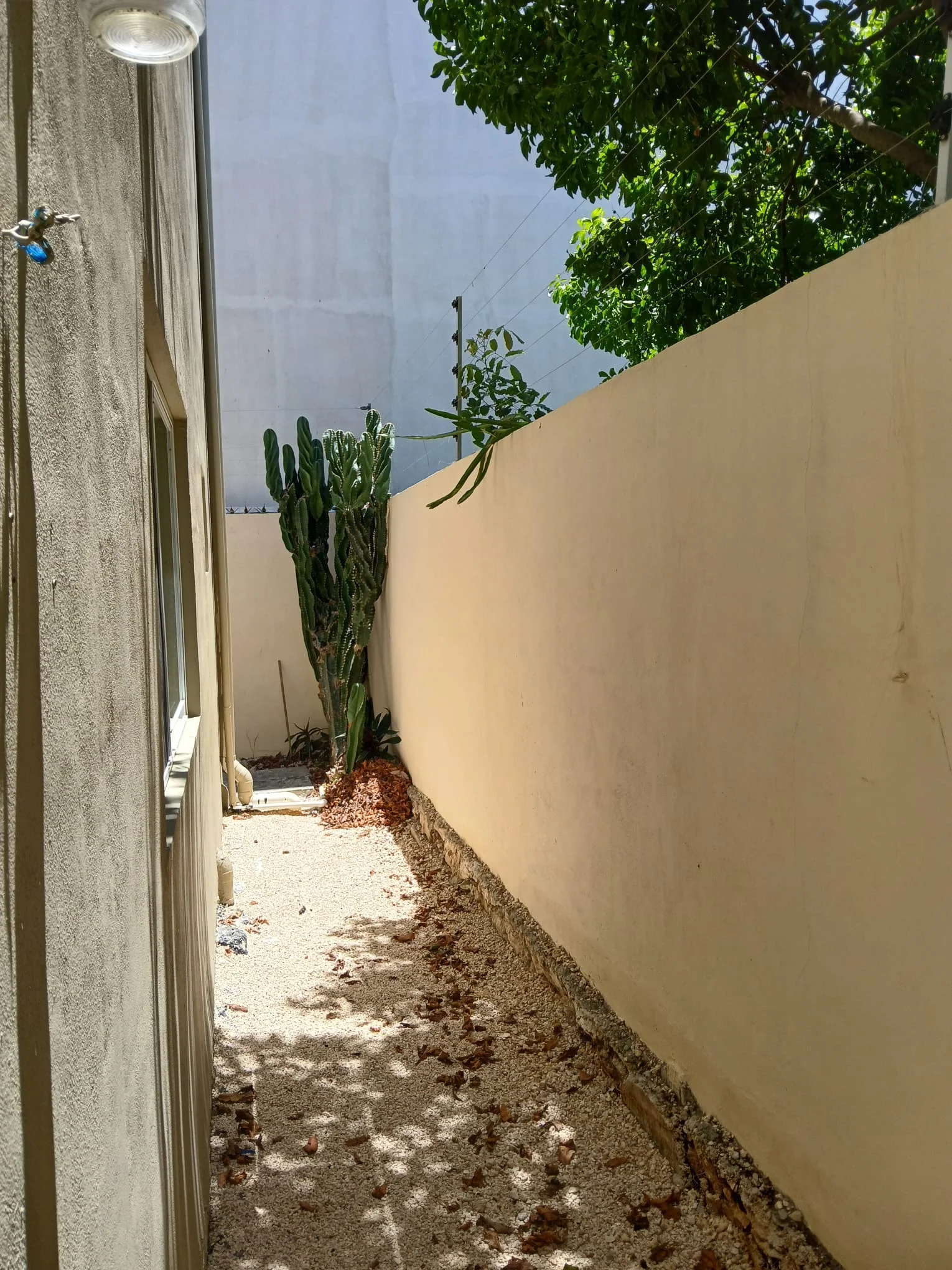 Apartment for Rent in La Veleta, Tulum