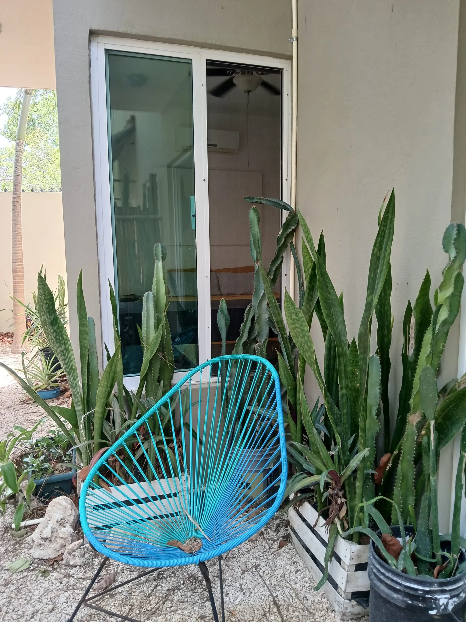 Apartment for Rent in La Veleta, Tulum