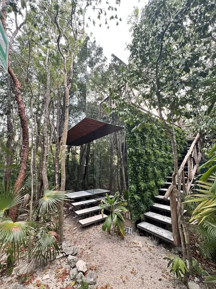Open Concept Property in Tulum