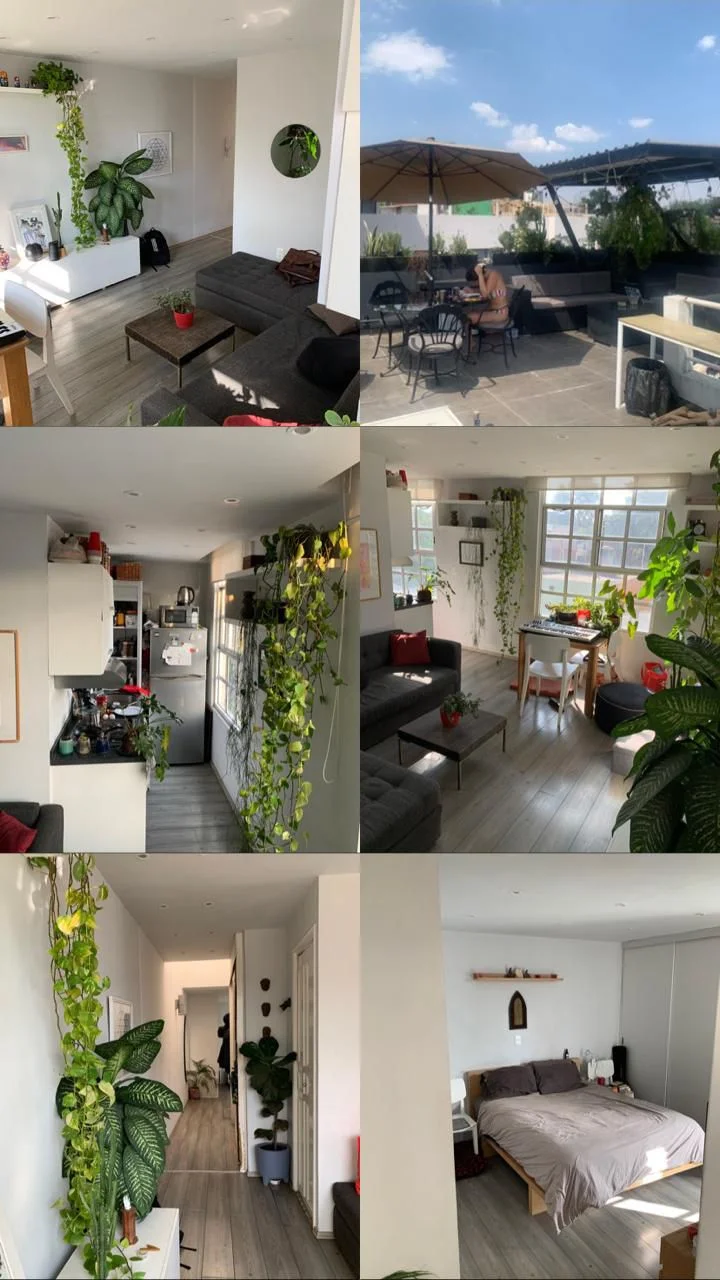 Apartment in Roma Norte, Nov 26-Dec 5