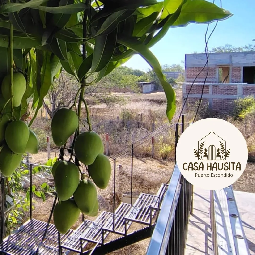 1 Bedroom Apartment in Puerto Escondido