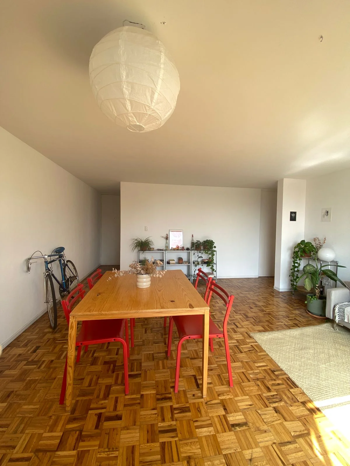 1 Bedroom Apartment in Colonia Del Valle
