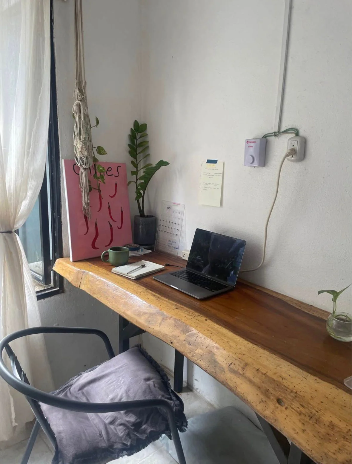 Apartment for Rent in La Punta | June–August