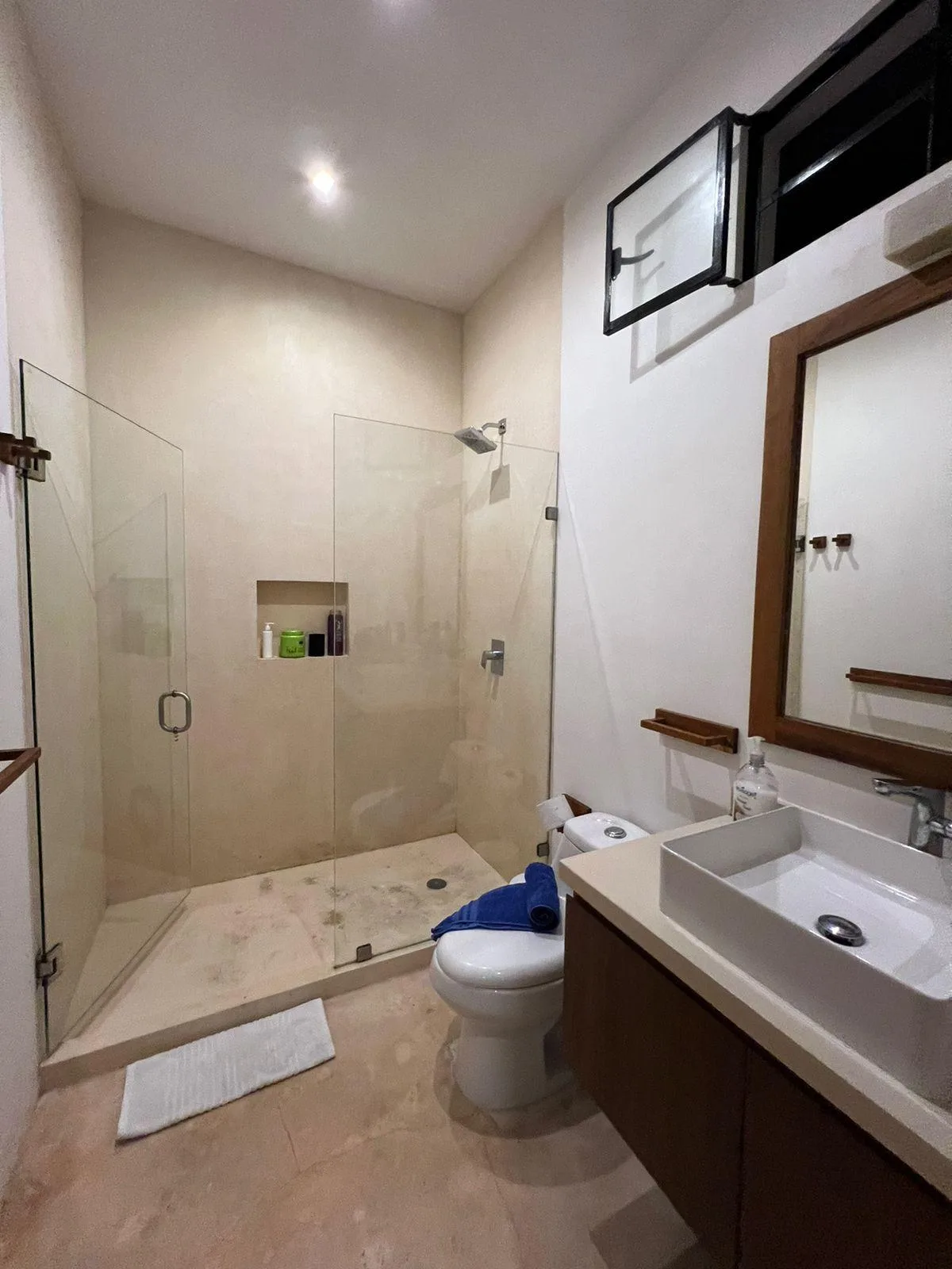 1 Bedroom Apartment in Aldea Zama
