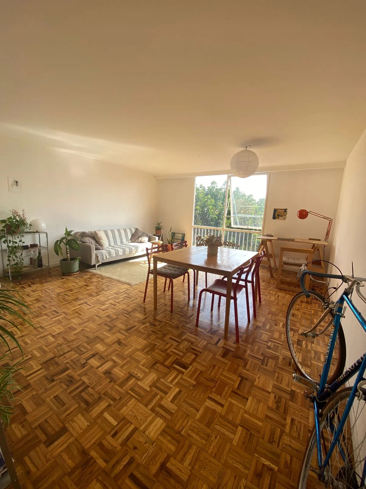 1 Bedroom Apartment in Colonia Del Valle