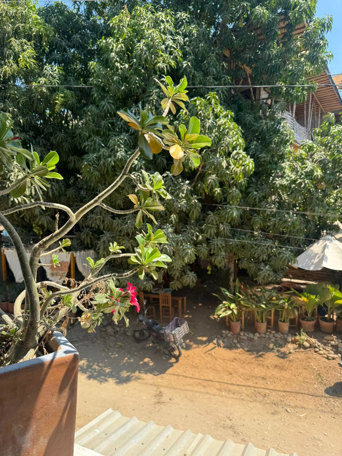 Apartment for Rent in La Punta | June–August