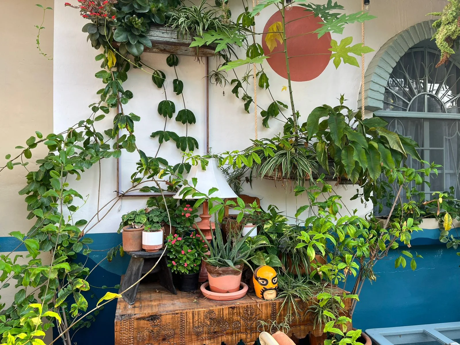 Apartment in Puerto Escondido