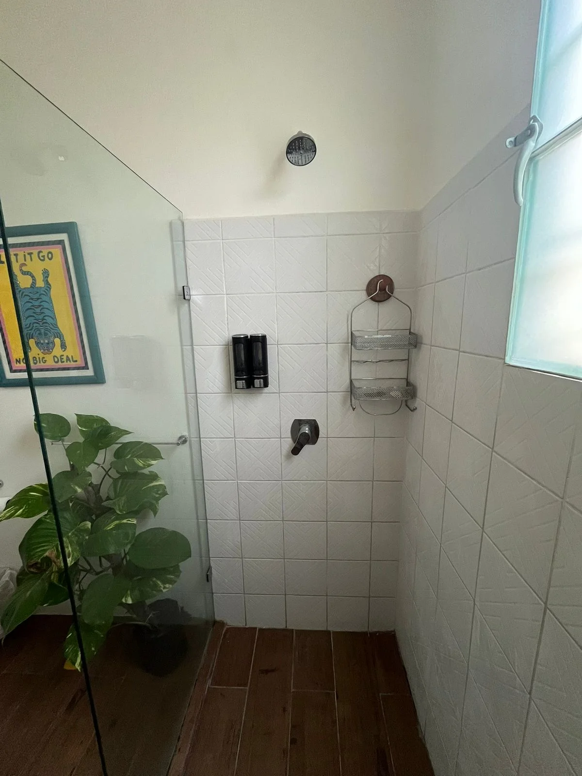 Apartment in Puerto Escondido