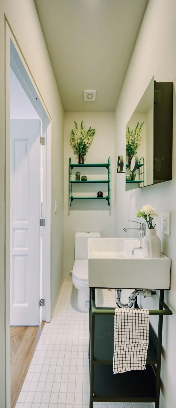 Apartment in San Rafael, Mexico City