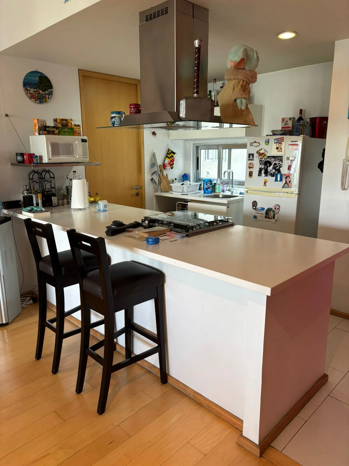 1-Bedroom Apartment for Rent in Napoles