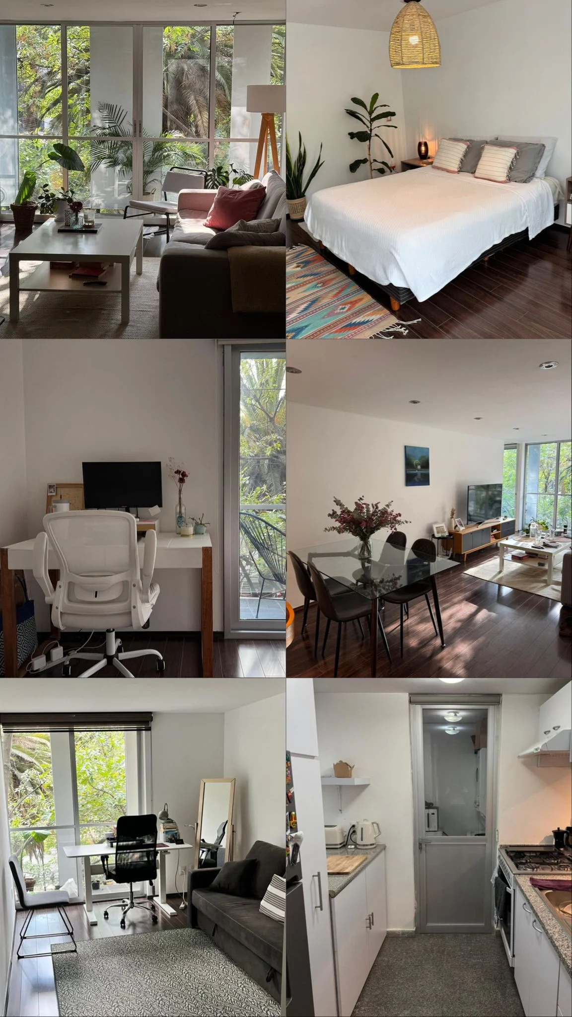 2 Bedroom Apartment in Condesa
