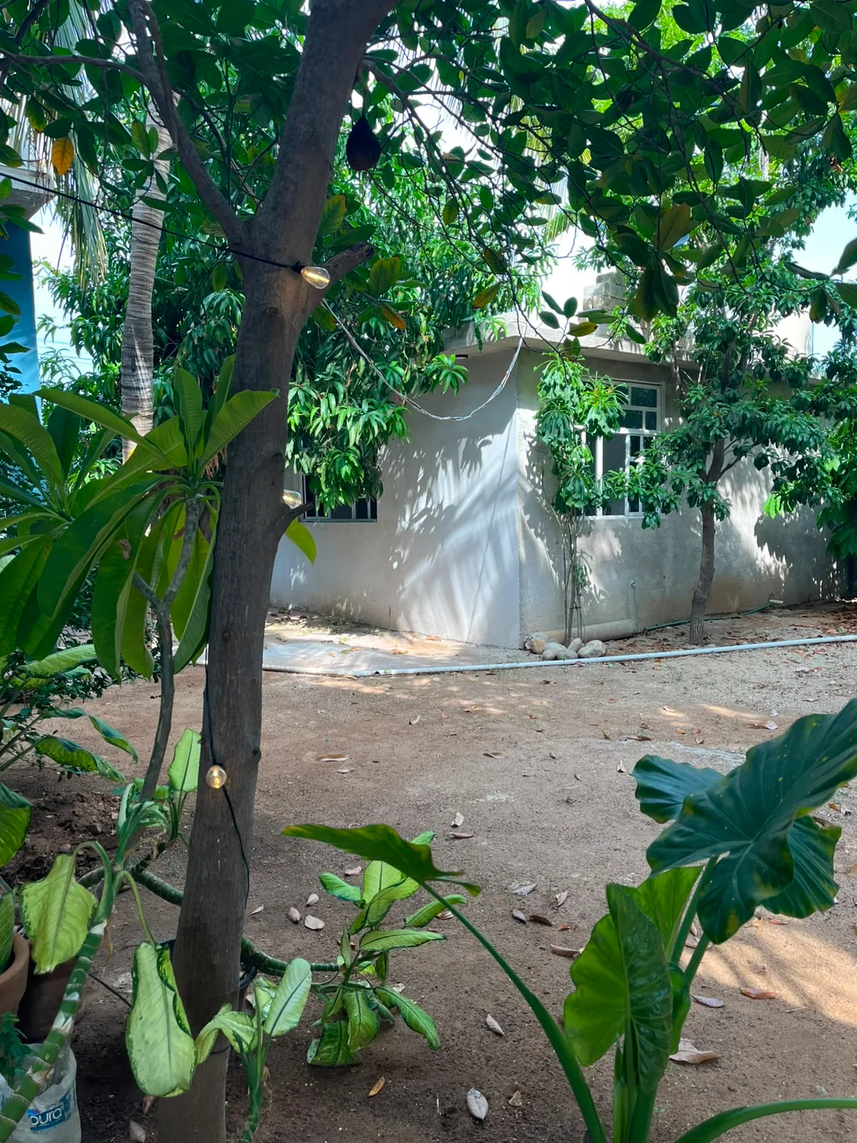 Room for Rent in Puerto Escondido