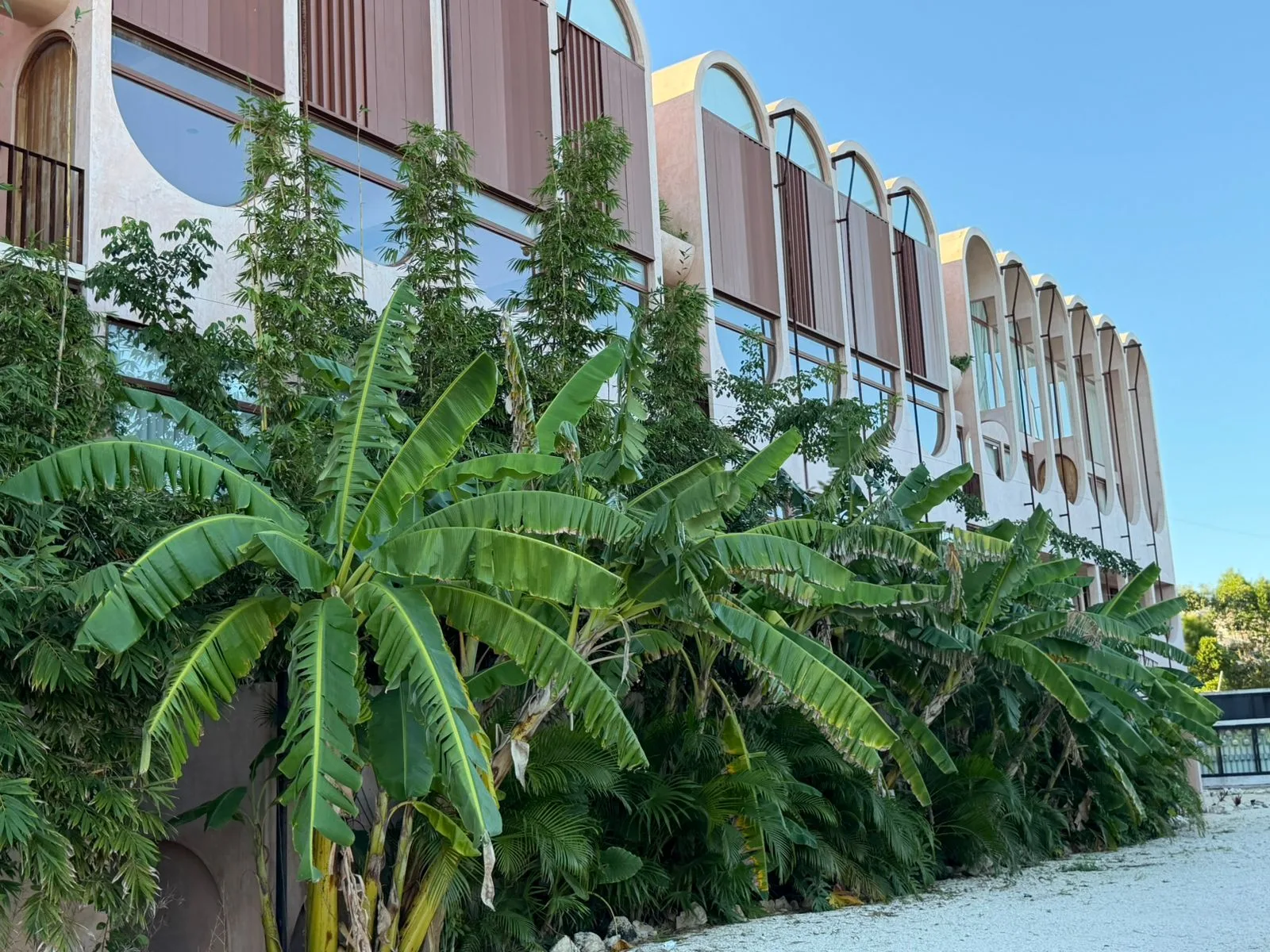 Apartment in Tulum