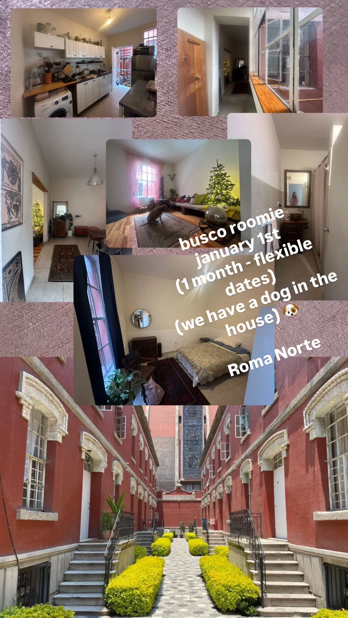 Private Room in Roma Norte