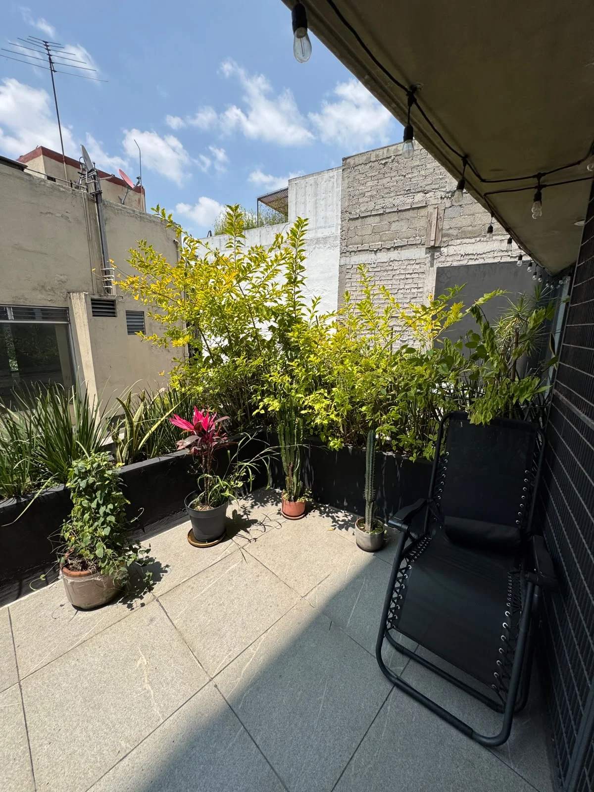 1 Bedroom Apartment in Roma, Mexico City