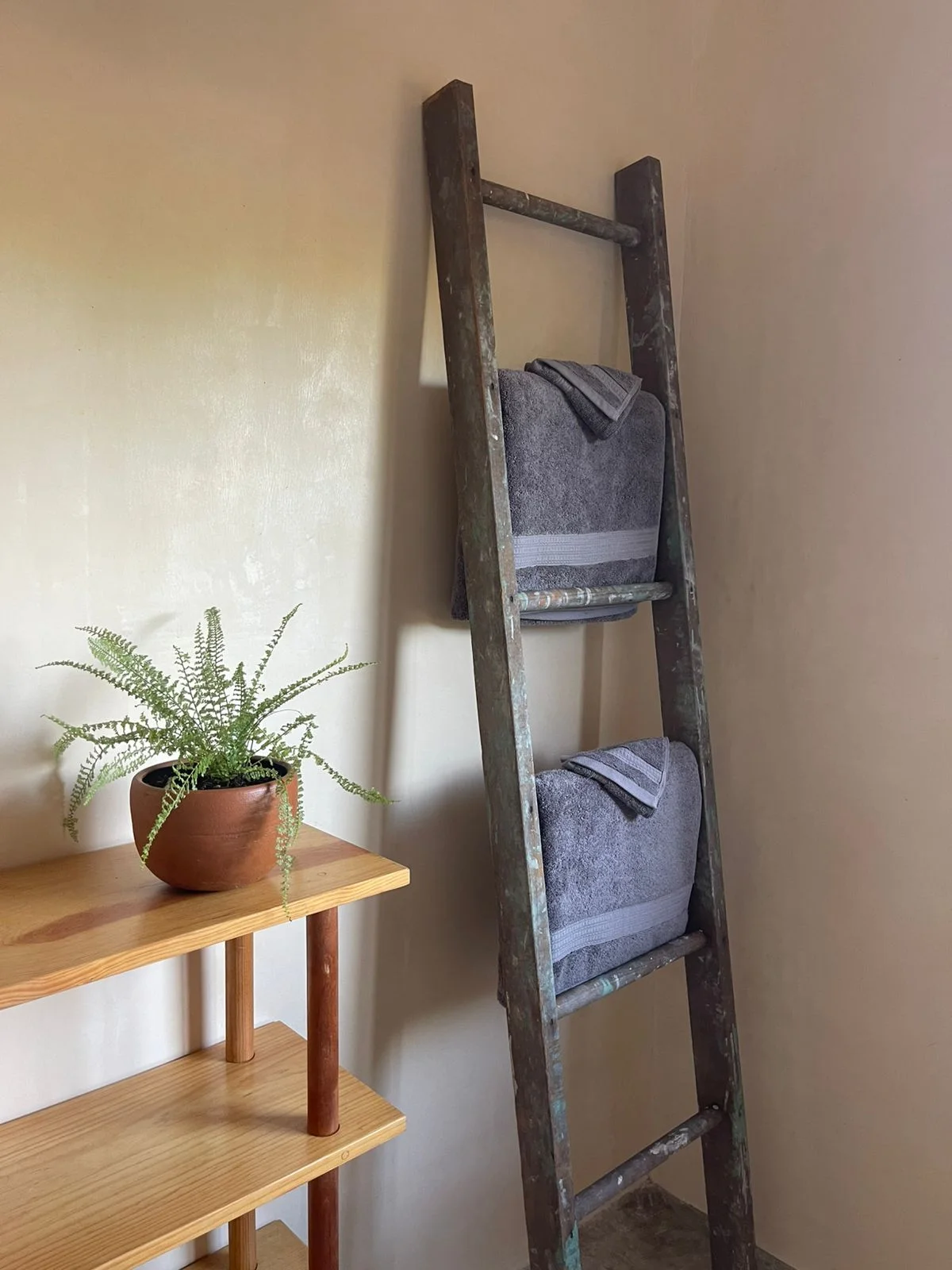 Apartment in El Puertecito