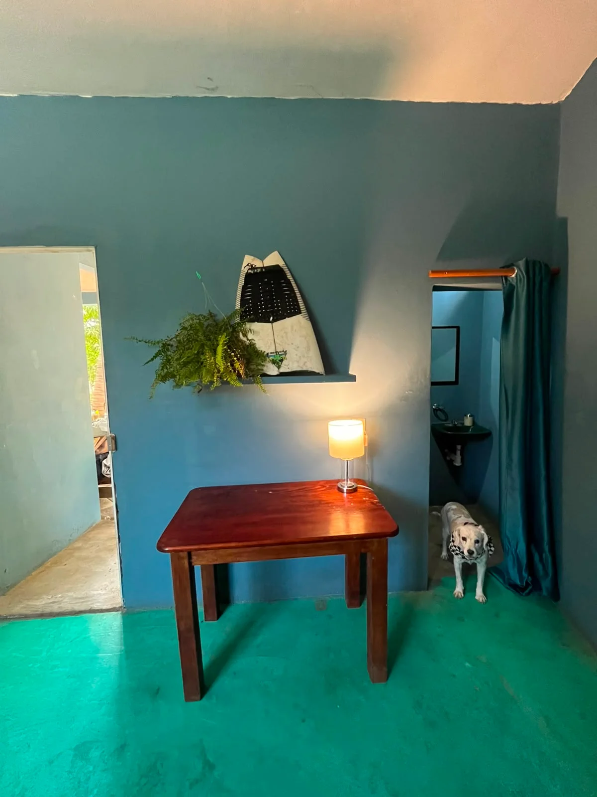 Room for Rent in Puerto Escondido