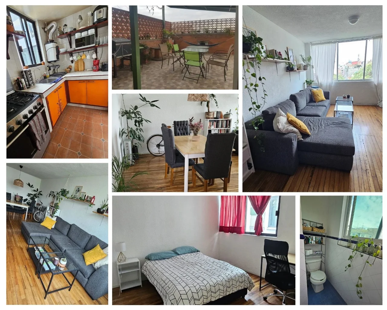 Apartment in Roma Norte for 10,000 MXN/month