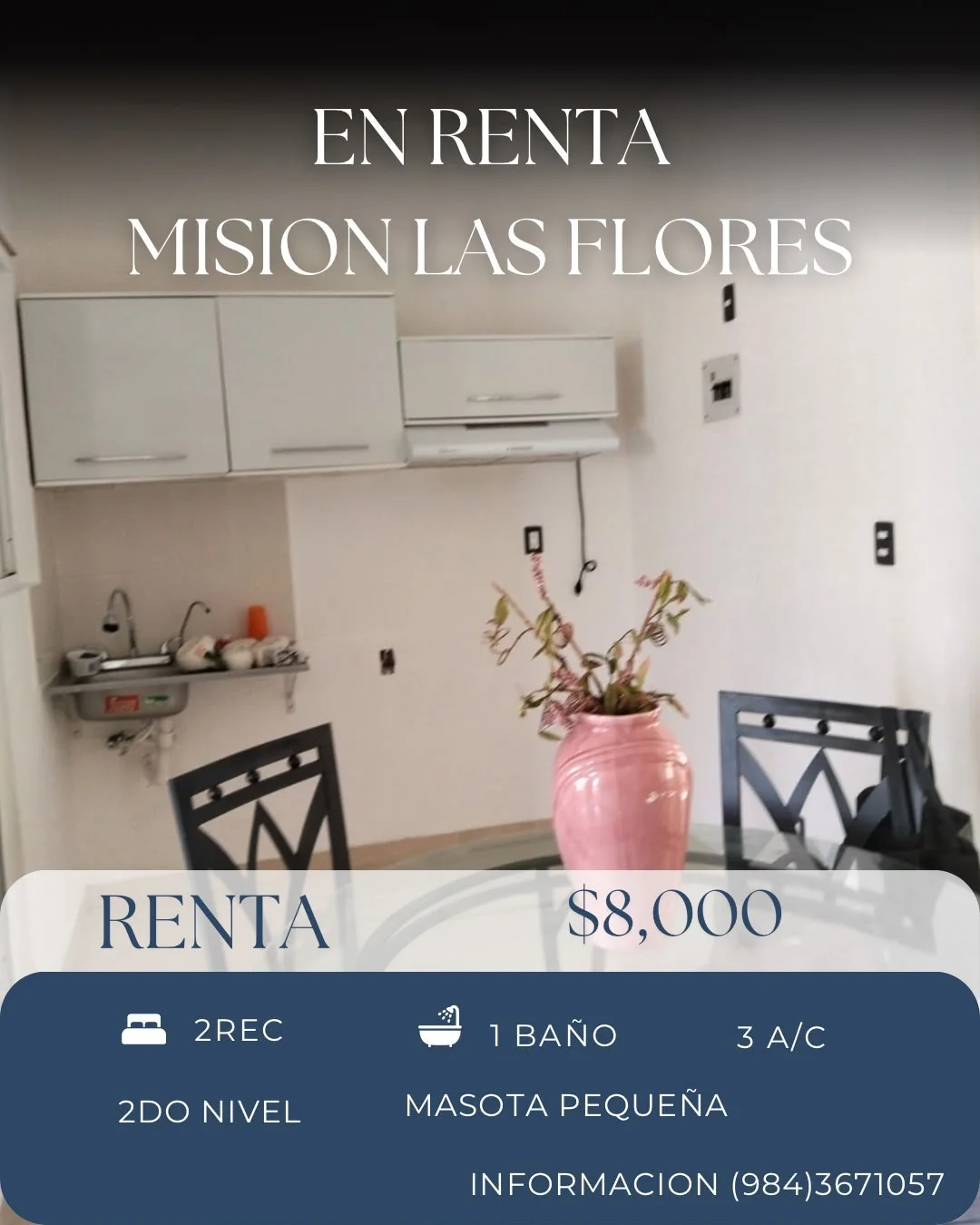 2 Bedroom Apartment in Real Ibiza, Playa del Carmen
