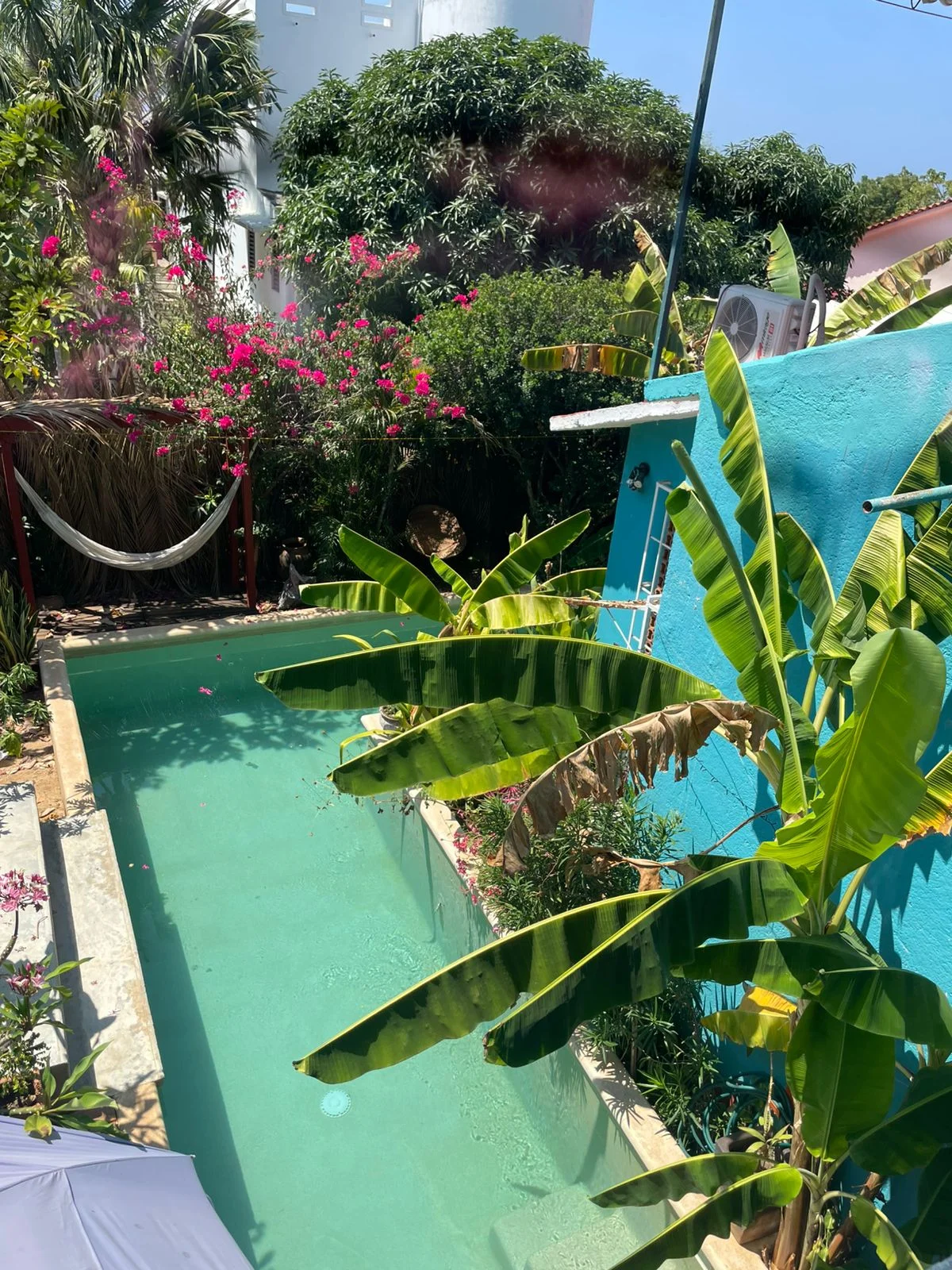 Tiny House in Bacocho with Pool & Terrace - Monthly Rental