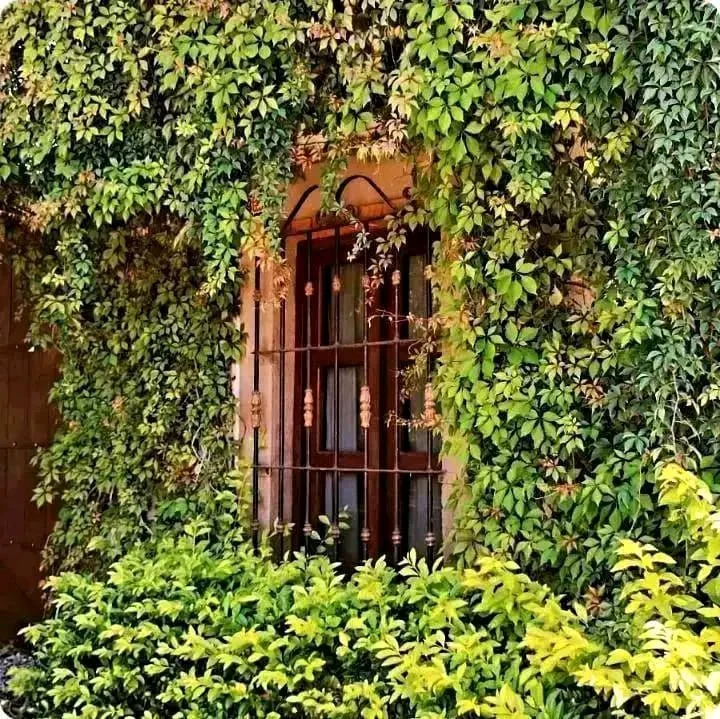 Studio Apartment in Rinconada