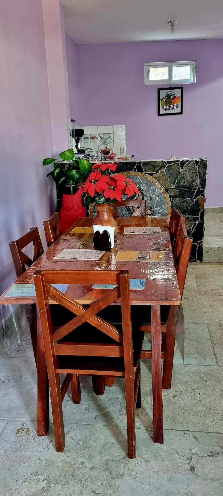 Furnished Apartment in Puerto Escondido