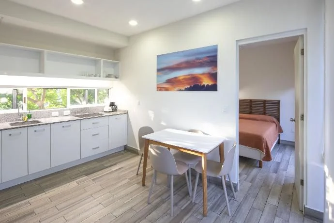 1 Bedroom Condo for Rent in Playa del Carmen