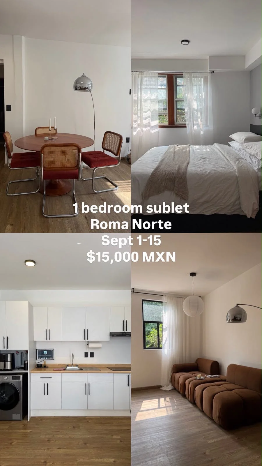 1 Bedroom Sublet in Roma Norte, Mexico City