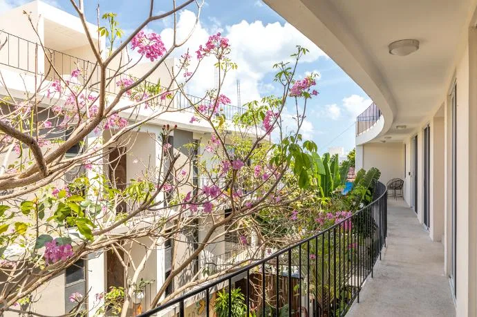 2 Bedroom Apartment on Calle 30