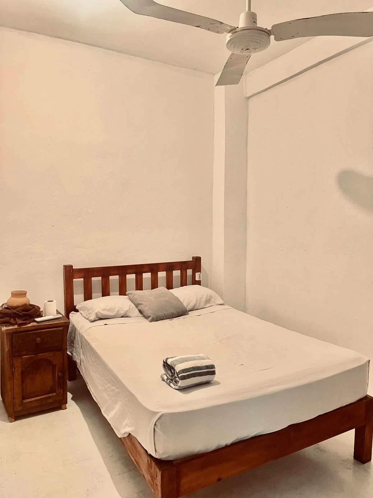 One Bedroom Apartment in Brisas de Zicatela