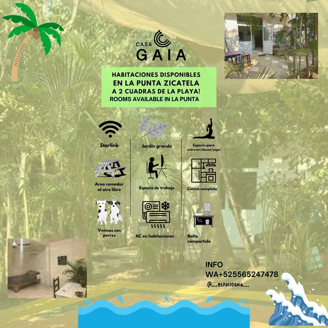 Rooms Available in Casa Gaia, La Punta Zicatela