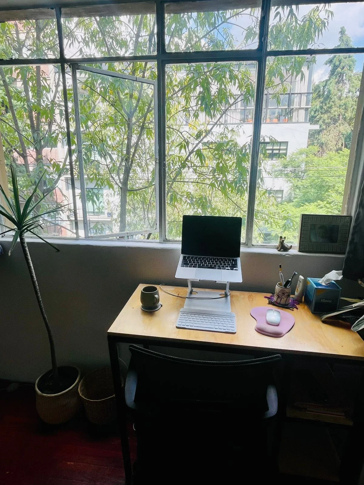 2 Bedroom Apartment in Condesa