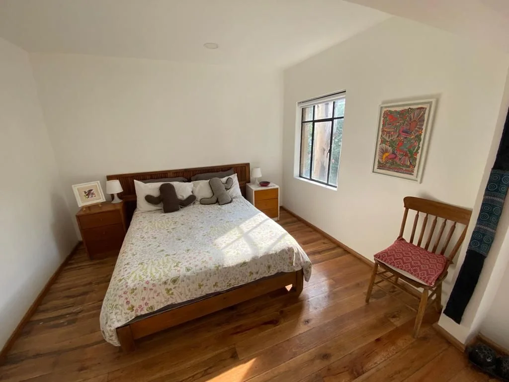 Apartment in Mexico City