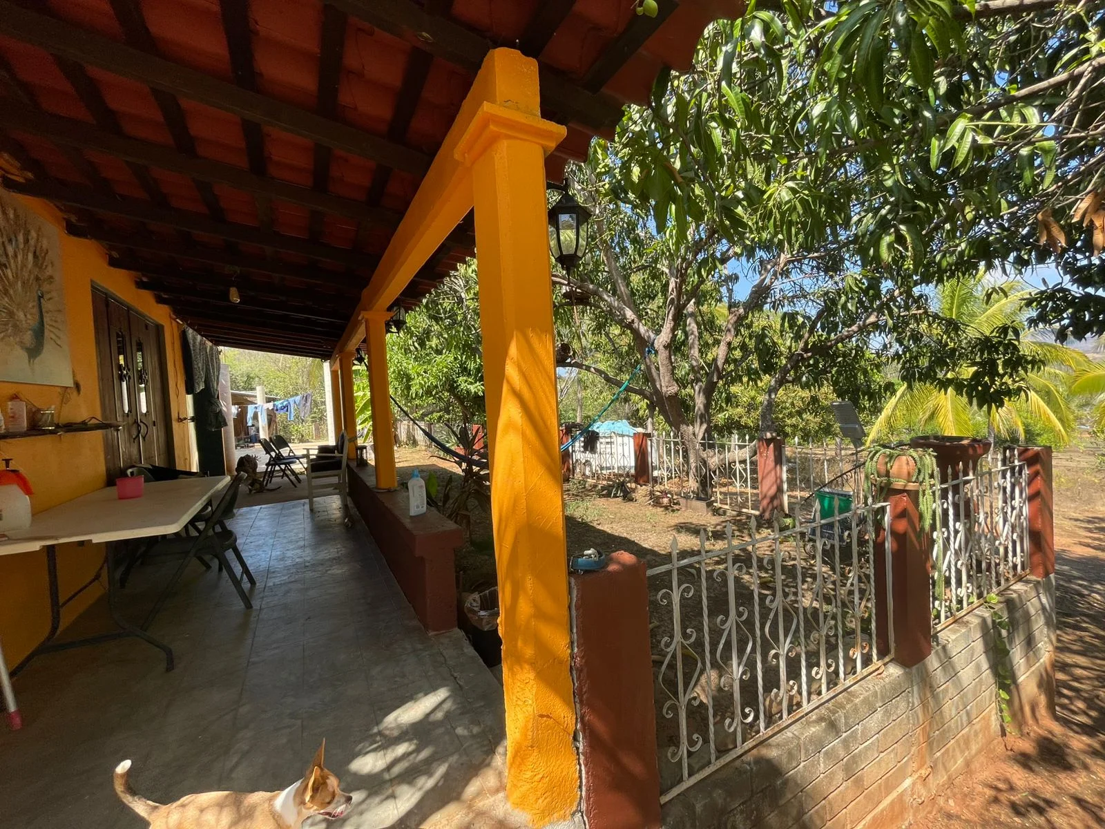 1 Bedroom House in Bomba, Puerto Escondido