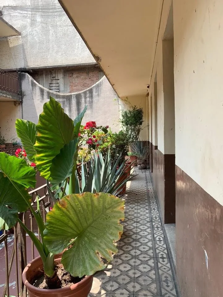 Apartment for Co-Rent in Centro, Mexico City