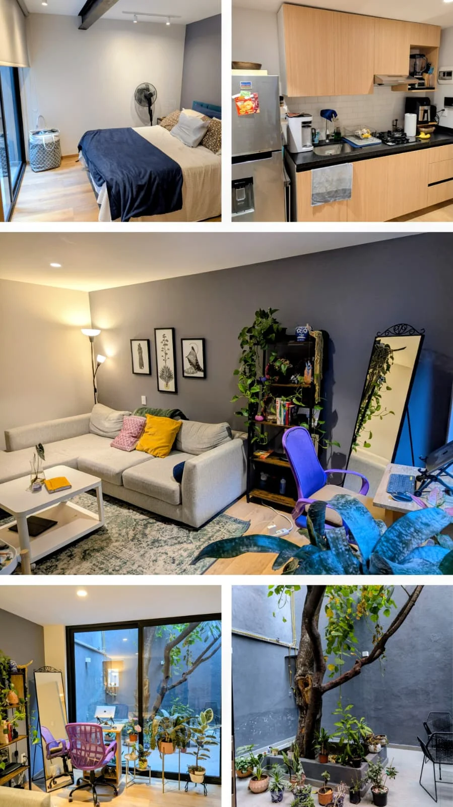 1 Bedroom Apartment in Roma Norte