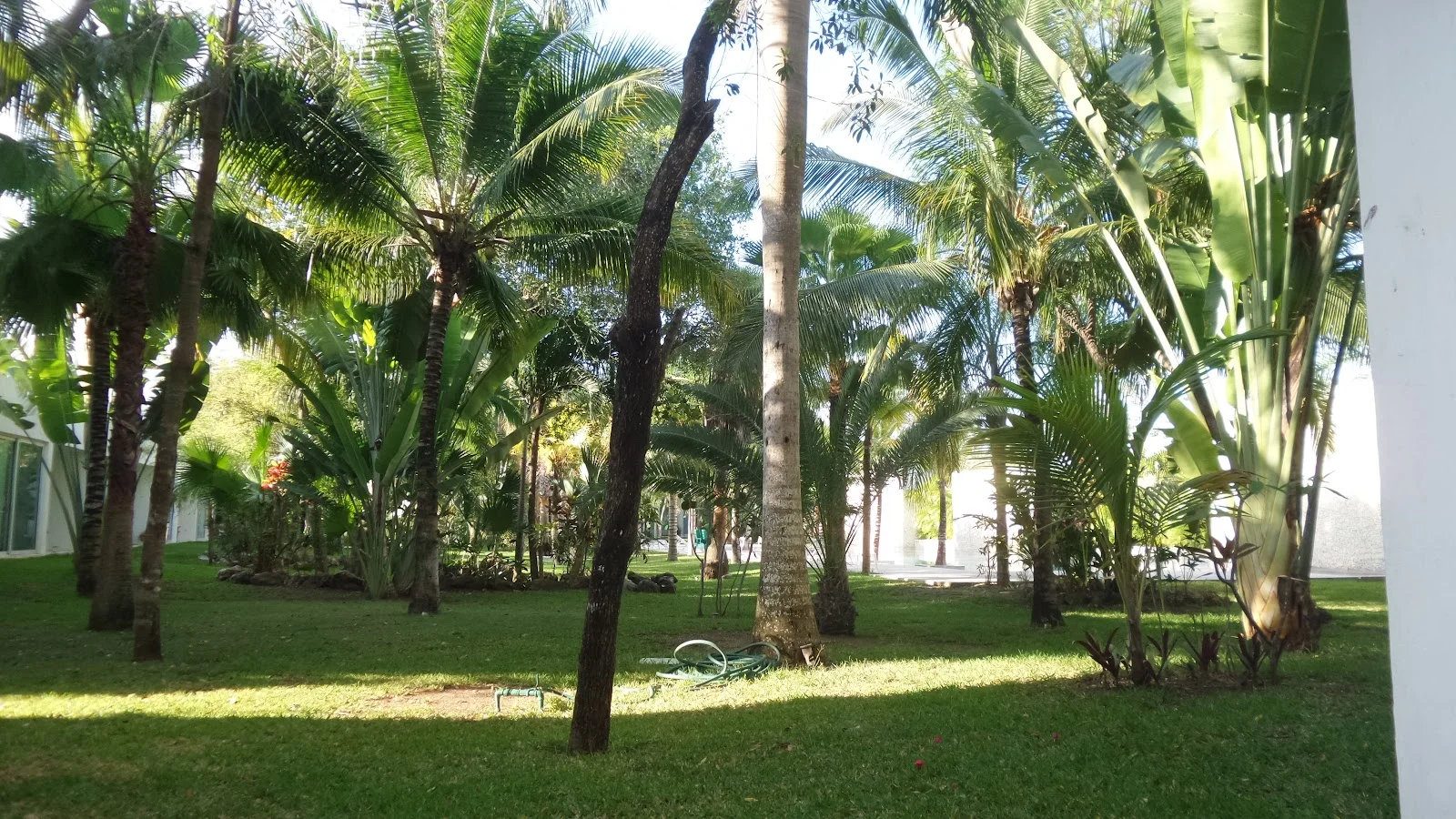 2 Bedroom Apartment for Rent with Private Rooftop
