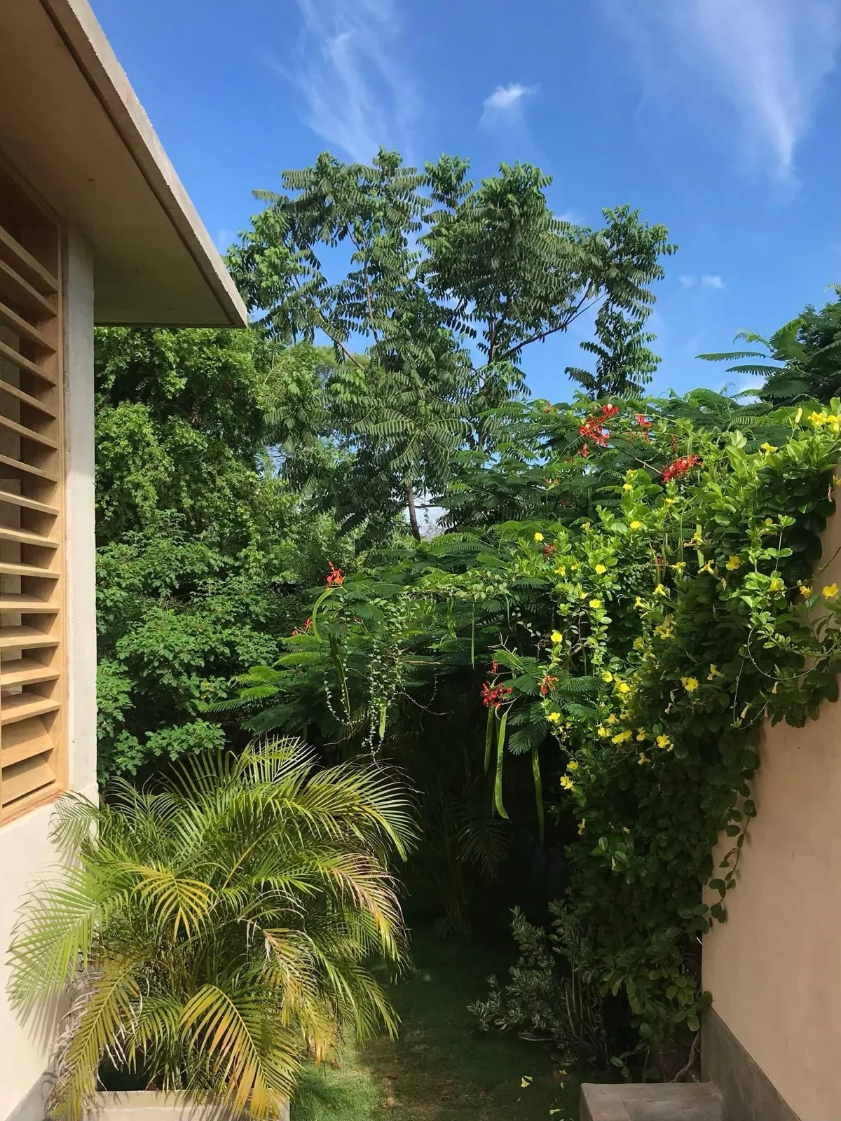 Furnished 1-Bedroom Apartment in La Punta, Puerto Escondido