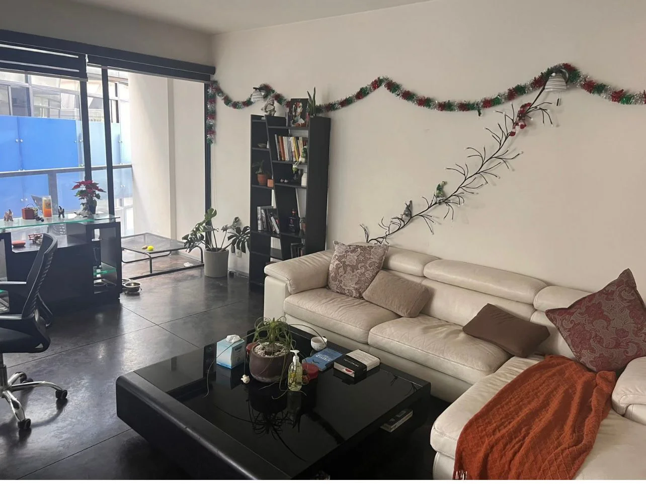 Private Room in Condesa