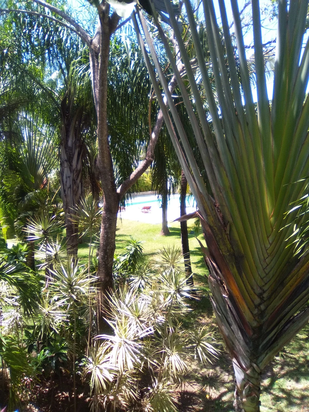 2 Bedroom Apartment for Rent with Private Rooftop