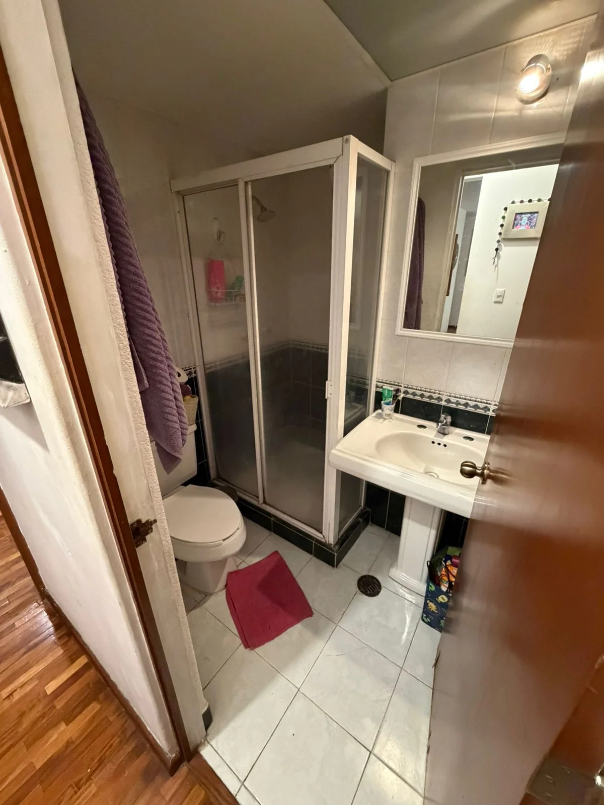 Furnished Apartment in Condesa, Mexico City