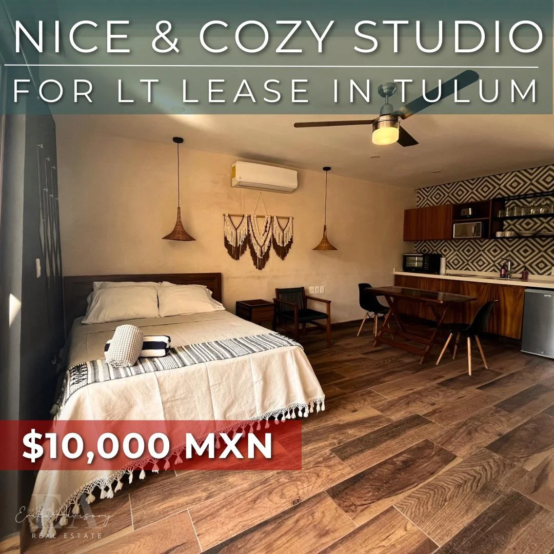 Furnished Studio in La Veleta, Near Holistika