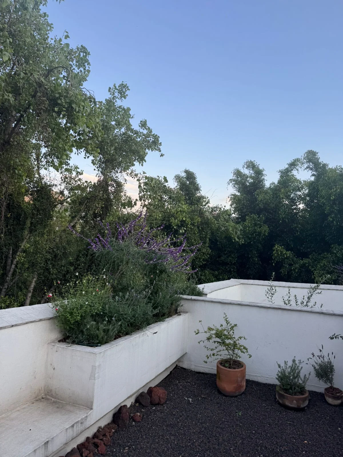 Apartment in Juarez, Mexico City