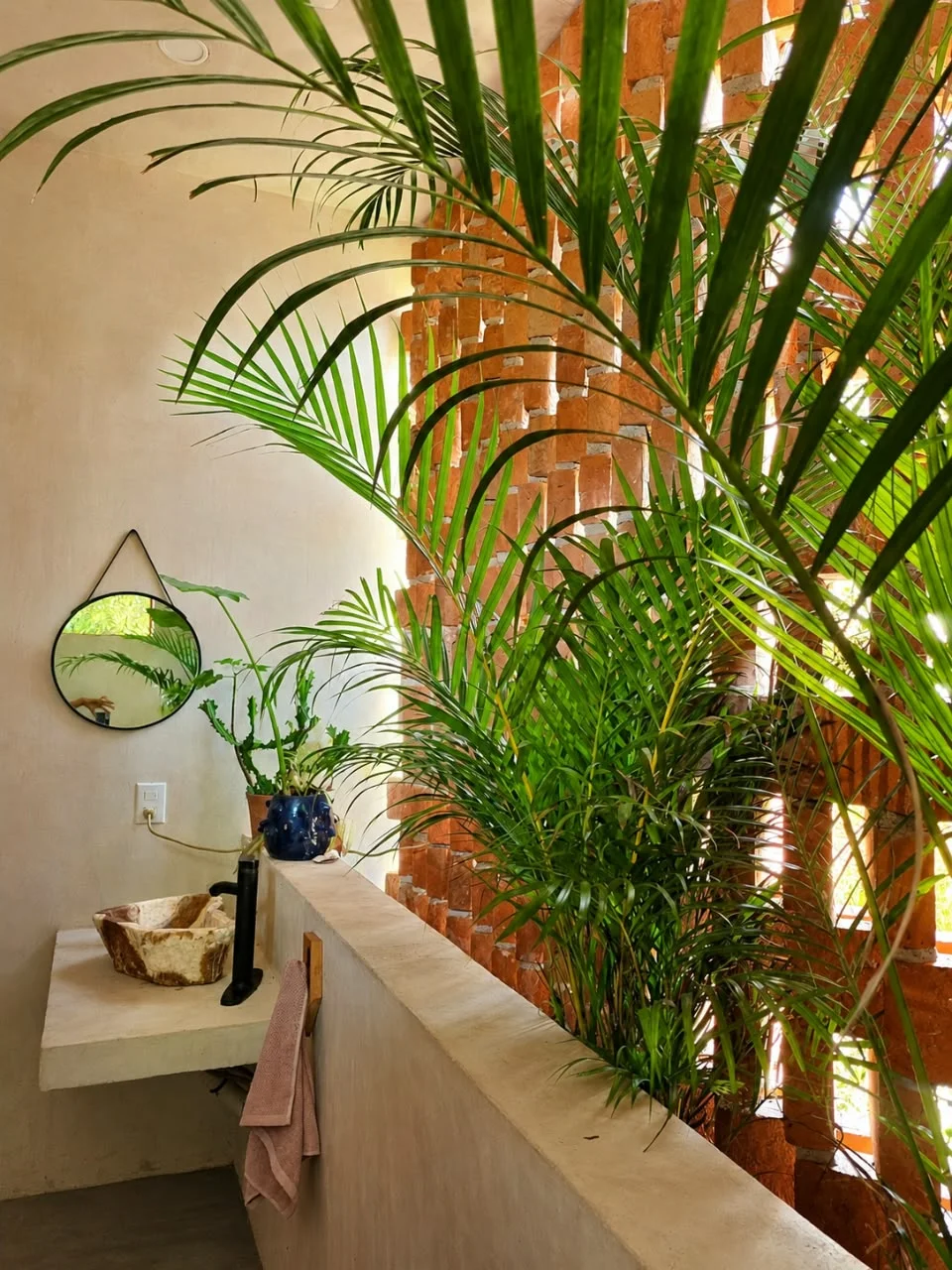 Room in Puerto Escondido